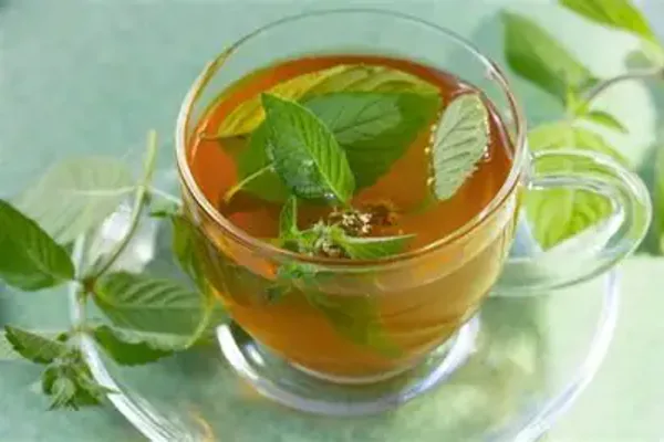 Everyday Benefits of Keeping Mint at Home