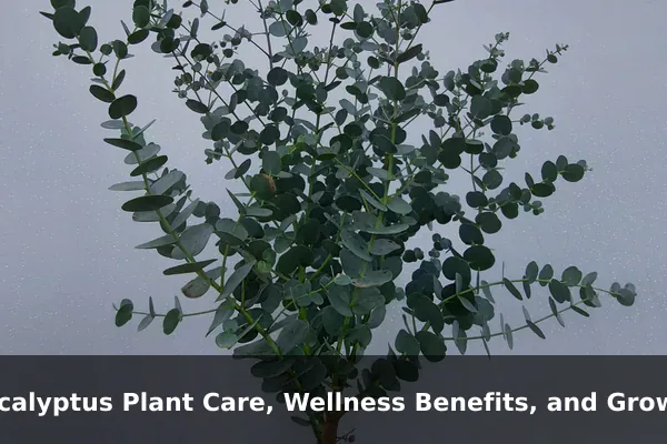 Eucalyptus Plant Care, Wellness Benefits, and Growing Tips